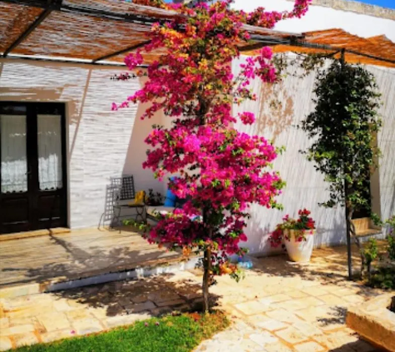 Room In Bb - Double Room In Ancient Masseria Near By The Sea-1