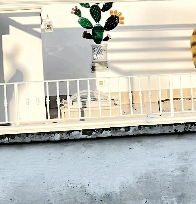 Il Girasole-1