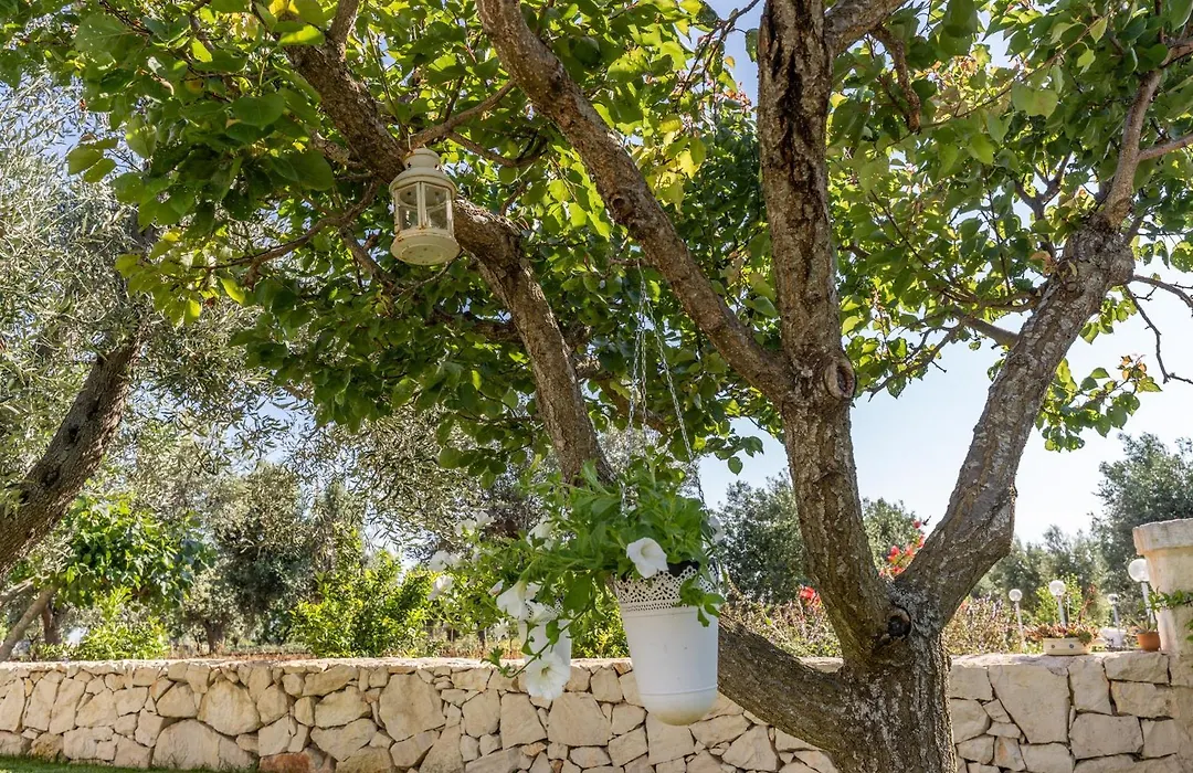Ostuni Dimore Aurea-1