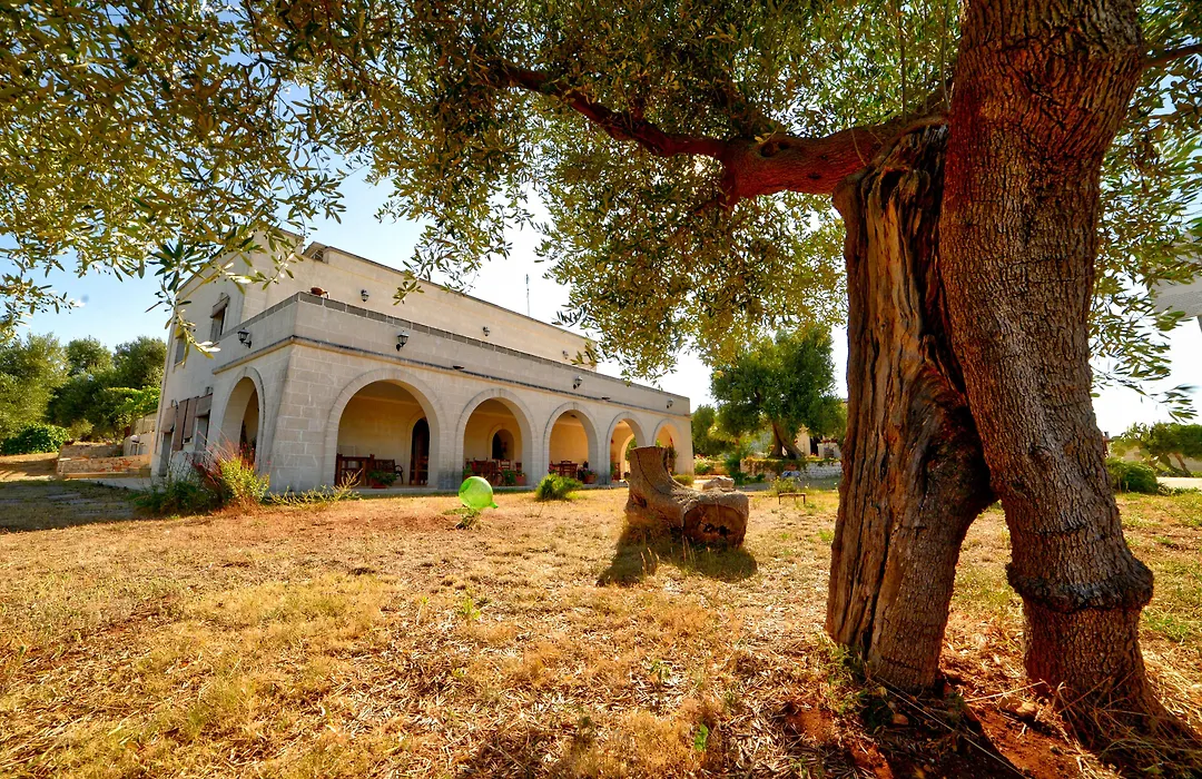 La Piana degli Ulivi-1