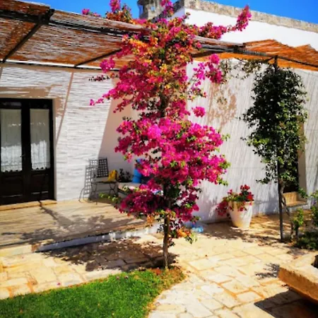 Room In Bb - Spacious Double Room In Ancient Masseria Near The Sea In A Quiet Olive Trees-2
