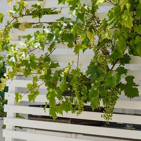 Welcome Ostuni B&B-2