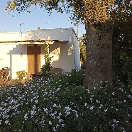 La casa degli artisti-3