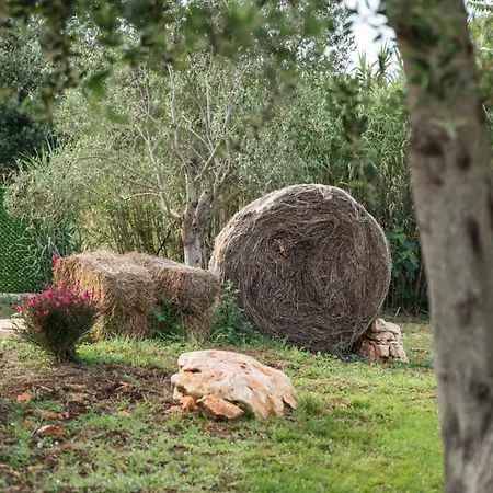 Petranima Wellness in Trulli-3